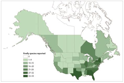 map of fireflies